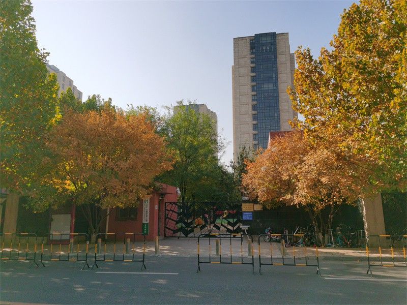 cac15f9a-f8c4-4469-8e6c-237ffdaeec05