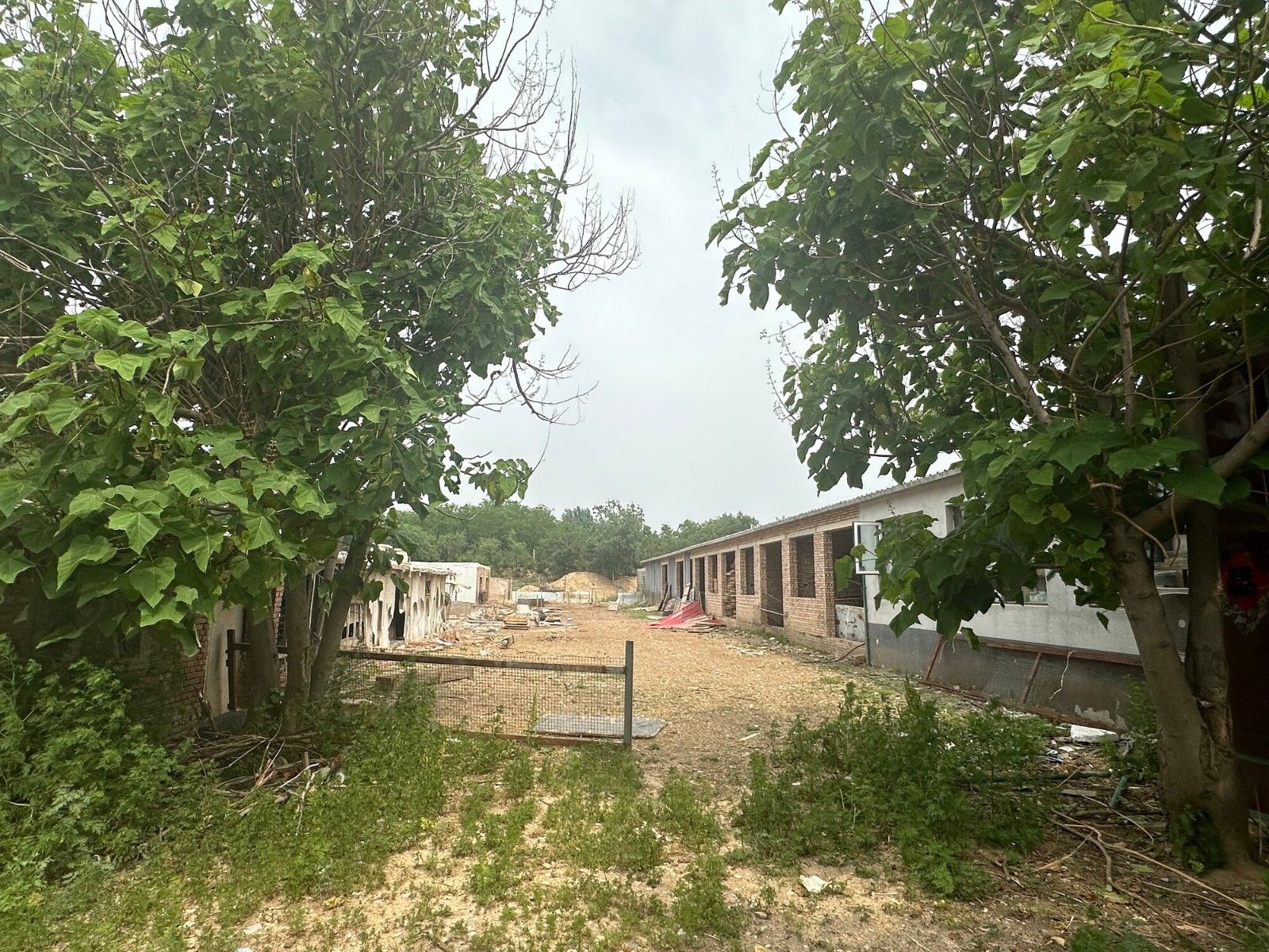 军营村 西南角养殖场土地及使用权